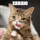 😋