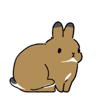 🐰