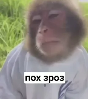 😒