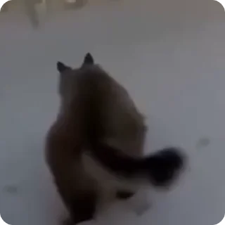 😒