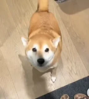 😍