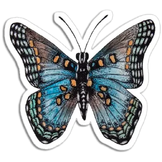 🦋