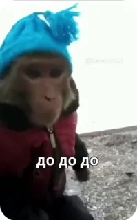 🌟