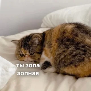 😖