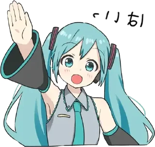 🙋