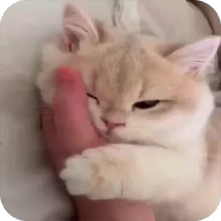 😍