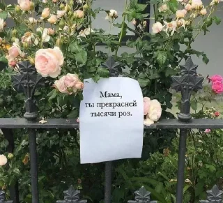 🌷
