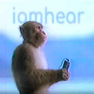 🎧