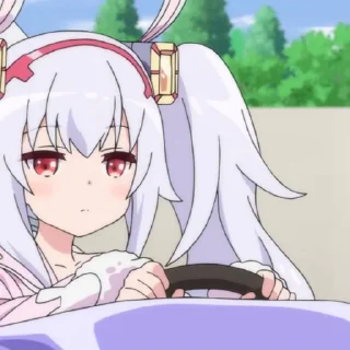🐇