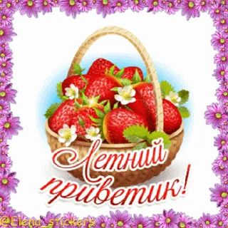 Летний позитивчик @Elena_stickers