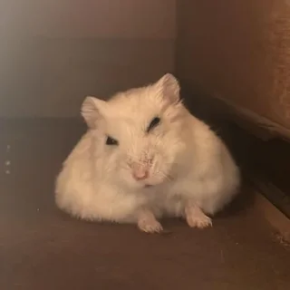 🤨