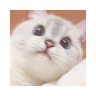 🙁