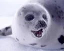 😃