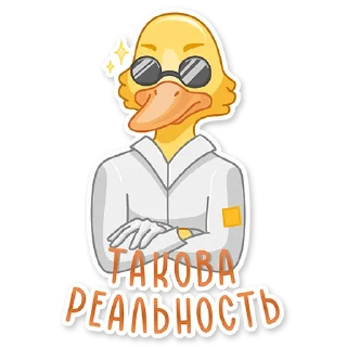 😎