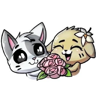 😻