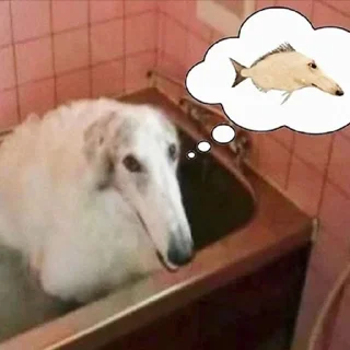 🐔