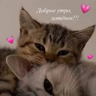 ❤️