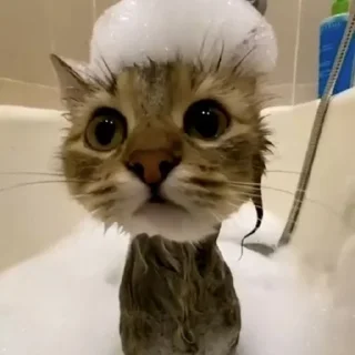 🤨