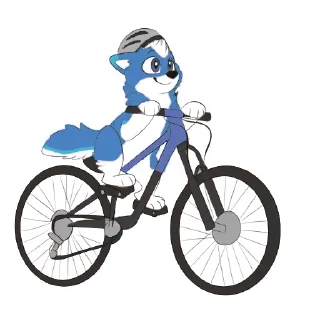 🚴‍♂️