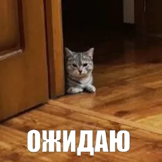 ⏳