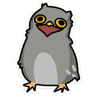 🦉