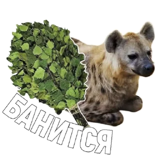 🌿