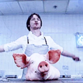 🐷
