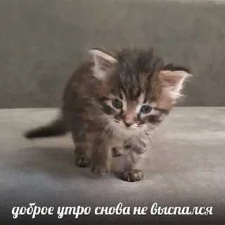 ☹️