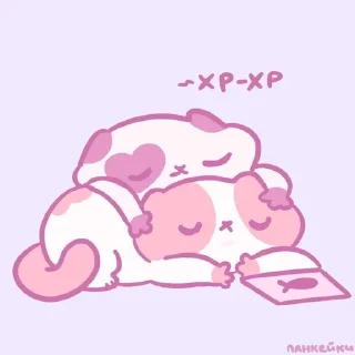 😴