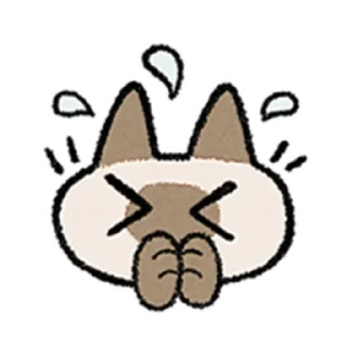 😺