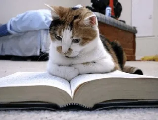 📖