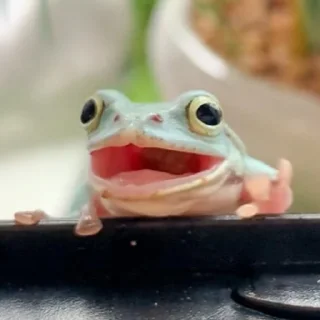 😍