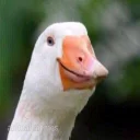 😝