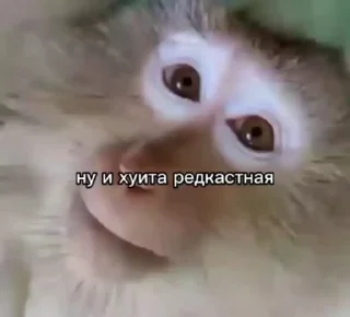 😜