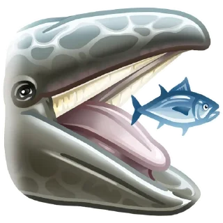🐋