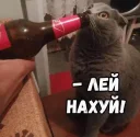 🍾