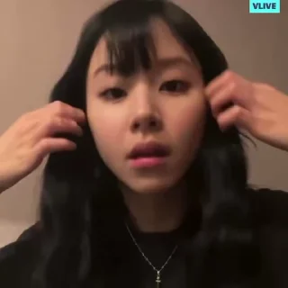 🦨
