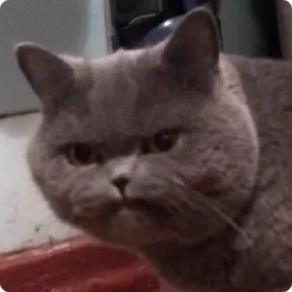 😠