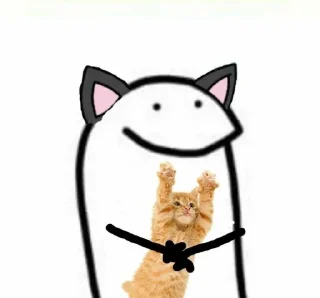 🐱