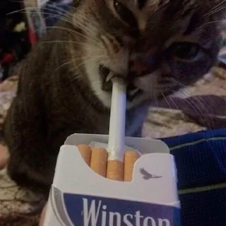 🚬