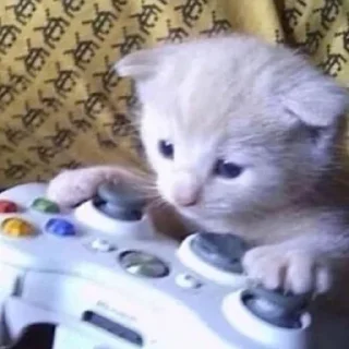 🎮