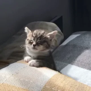 😴