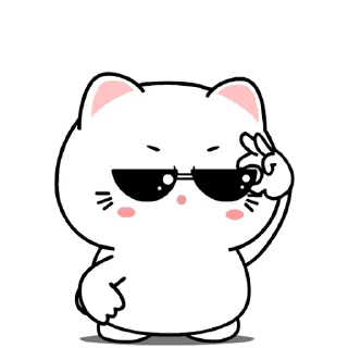 😎