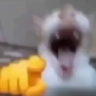 🤣