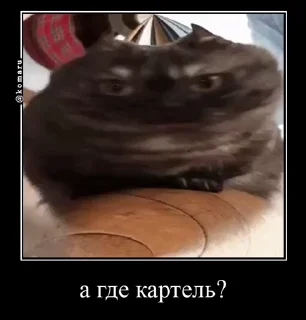 🤩