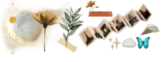 〰