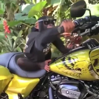 😎