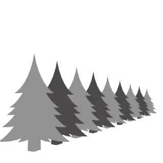🌲