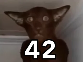 ☠️