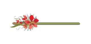 🌺